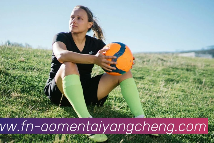 太阳城娱乐平台生态图